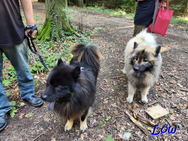 3.9.2025 - Unterwegs zur Geburtstagsfeier